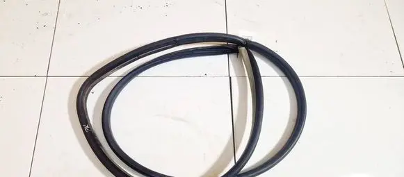 Opel Signum Rubber seal front coupe door 
