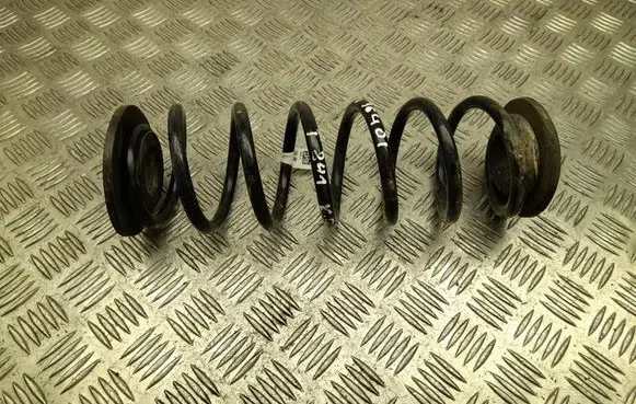Rear coil spring