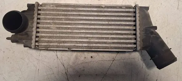 Peugeot 307 Intercooler radiator IA1319 874824KJ 9646694680