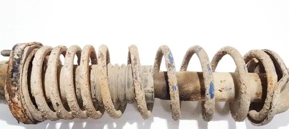 Honda Accord Rear coil spring