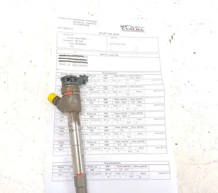 Peugeot Partner III Fuel injector 0445110955