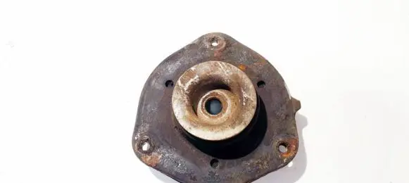 Coil spring mount