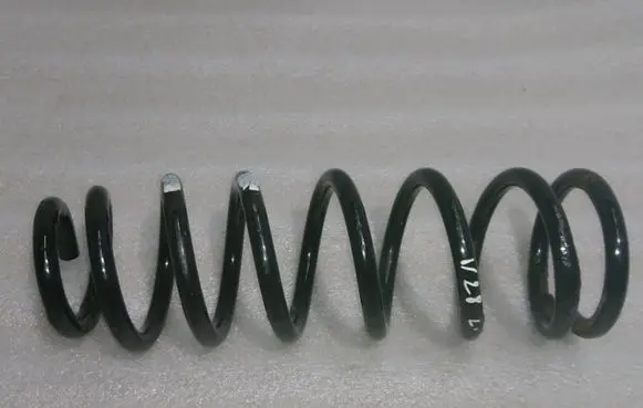 Rear coil spring