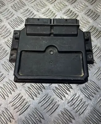 Fiat Punto (188) Engine control unit/module R04010032D 029714FTG 80847D