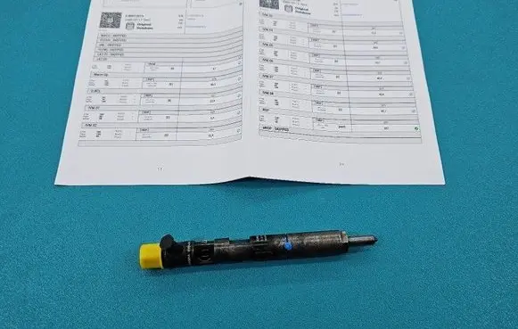 Renault Megane II Fuel injector EJBR01801A IMPRK1439434