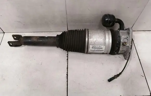 Bentley Continental Air suspension rear shock absorber 3W0616001B