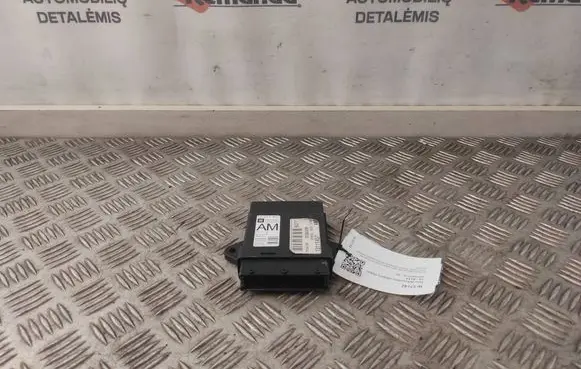 Opel Signum Door control unit/module 13111457