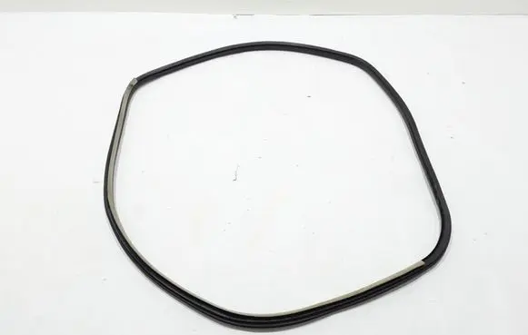 Renault Laguna III Front door rubber seal 808330001R