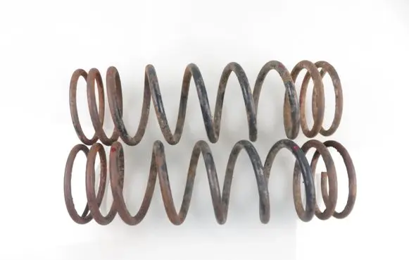 Rear coil spring