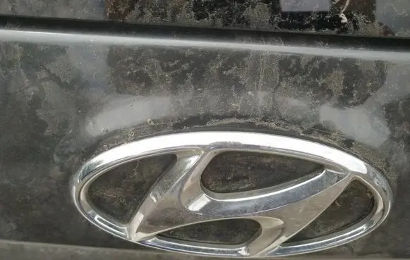 Hyundai Santa Fe Manufacturer badge logo/emblem 