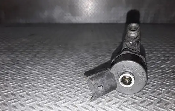 Renault Scenic I Fuel injector 0445110021 7700111014