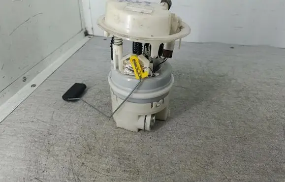 Peugeot 206+ In-tank fuel pump 