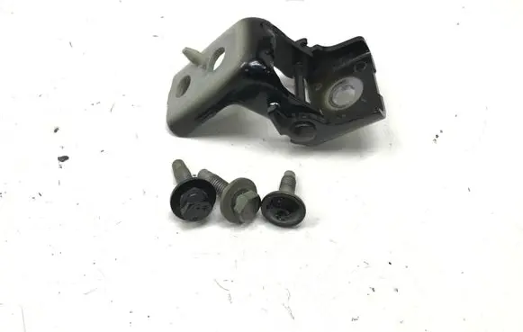 Opel Frontera Front door lower hinge 234B5