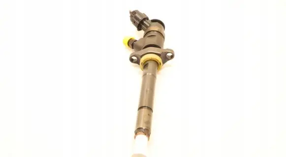 Citroen C5 Fuel injector 0445110297