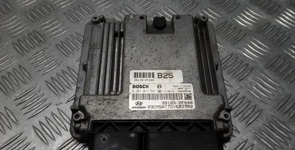 Hyundai Santa Fe Engine control unit/module 391182F440 0281017541 391032F440
