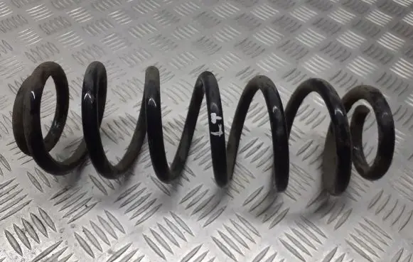 Volkswagen PASSAT B6 Rear coil spring
