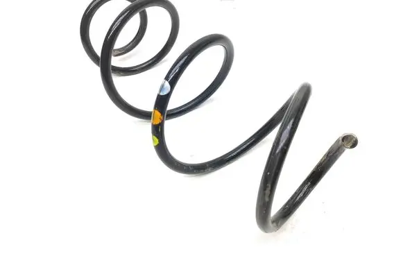 Rear coil spring