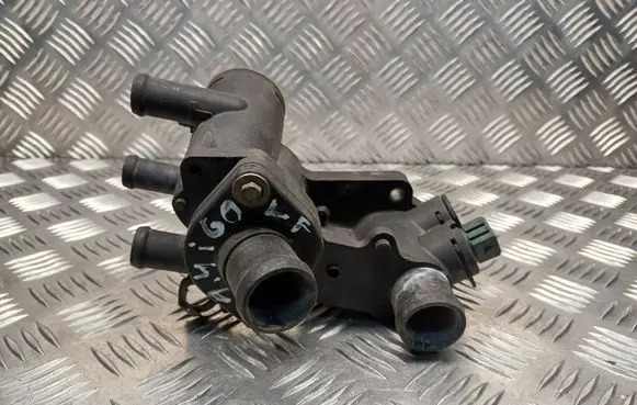 Thermostat/thermostat housing