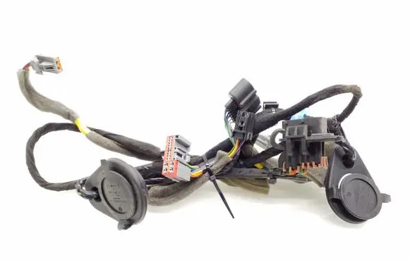 Rear door wiring loom