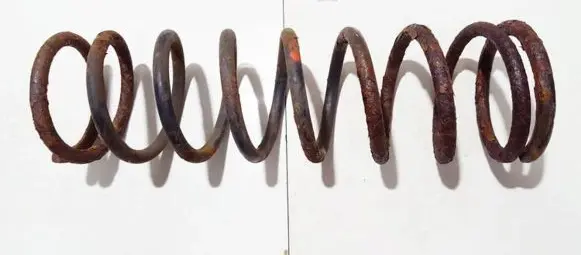 Ford Focus Rear coil spring