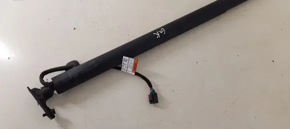 Tailgate/trunk strut/damper