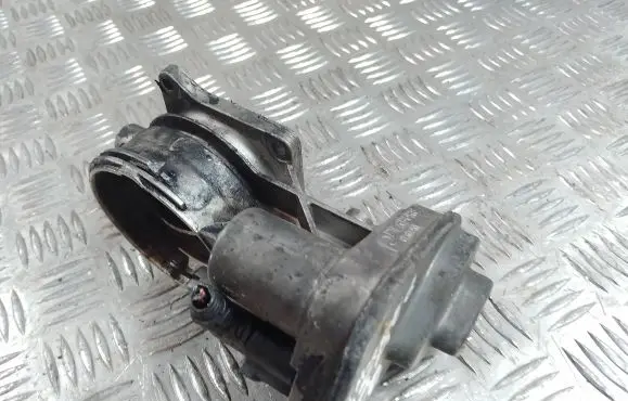 Volkswagen Touareg I Throttle valve