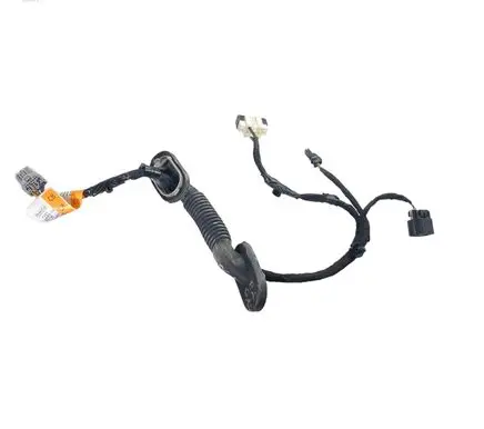 Rear door wiring loom