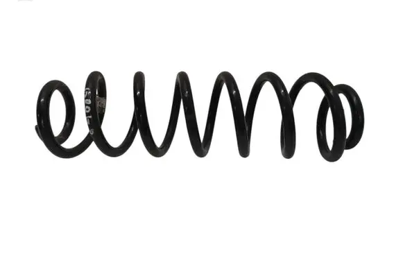 Rear coil spring