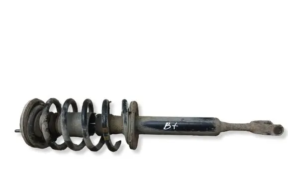 Volkswagen PASSAT B5.5 Front shock absorber with coil spring 