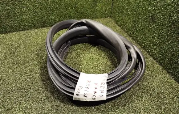 Renault Kangoo III Front door rubber seal 