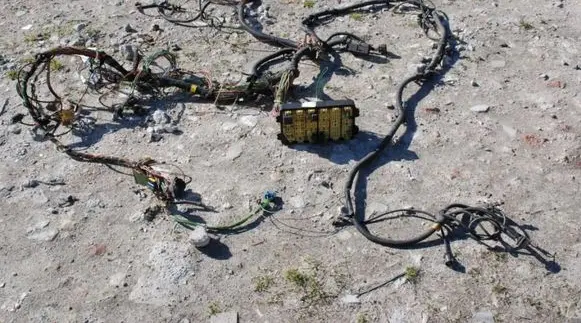 Iveco Daily 4th gen Other wiring loom 29L10