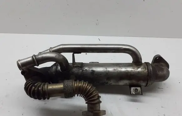 Volkswagen PASSAT B5 EGR valve cooler