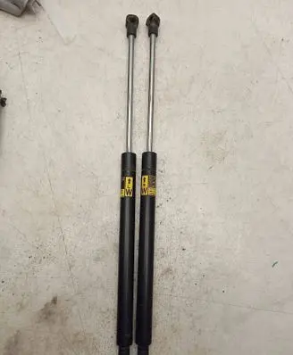 Tailgate/trunk strut/damper