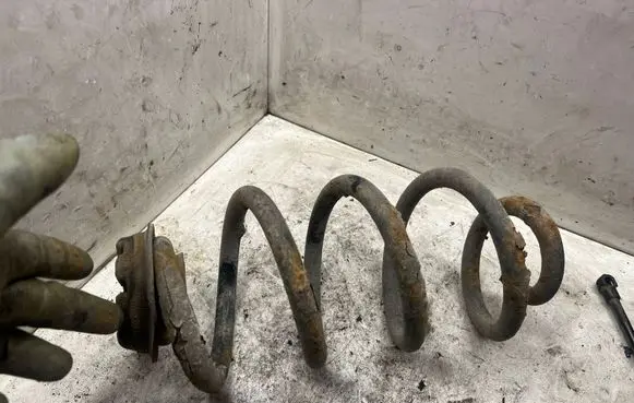 Nissan X-Trail T31 Rear coil spring