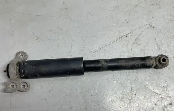 Opel Insignia B Rear shock absorber/damper 3189101