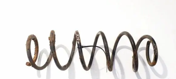 Renault Laguna III Rear coil spring