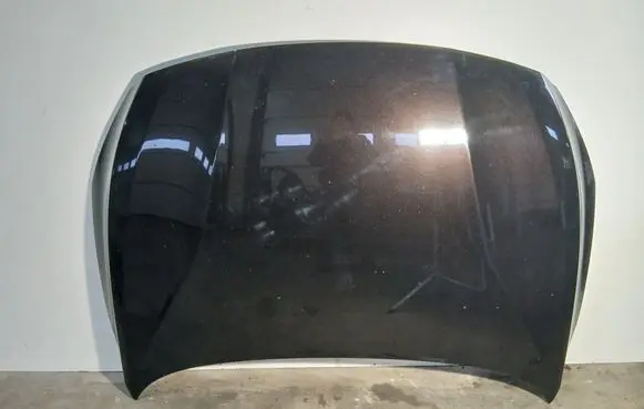 Engine bonnet/hood