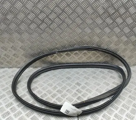 Ford Ranger Rubber seal front coupe door 6M34J20521BA