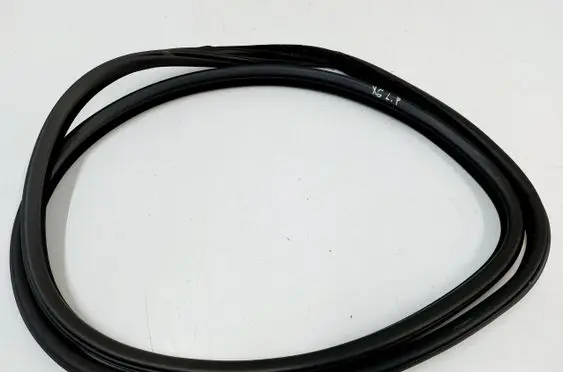 BMW X6 F16 Front door rubber seal 7317823