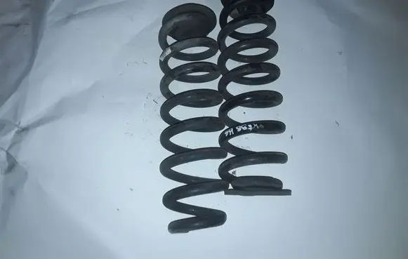 Rear coil spring