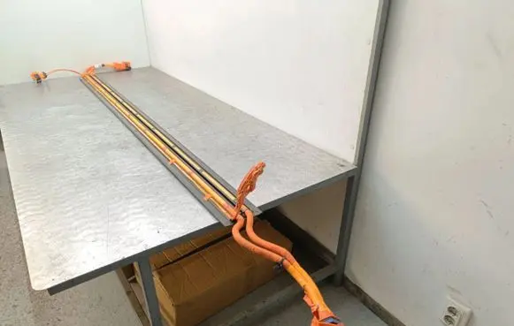 Tesla Model Y Other wiring loom 110900300E 110900280G
