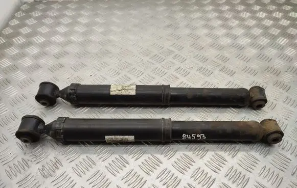 Citroen C3 Aircross Rear shock absorber/damper 9824523780