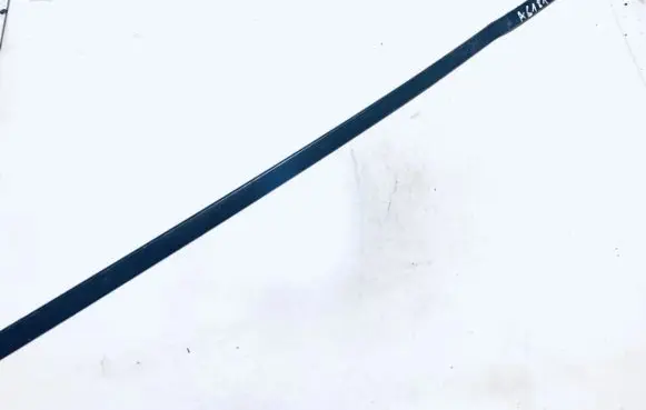 Audi Q7 4L Front door glass trim molding 
