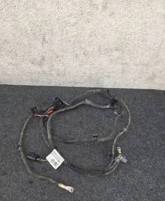 Skoda Octavia Mk4 Other wiring loom 5WC971111CH 5Q0971955 8K0973703G