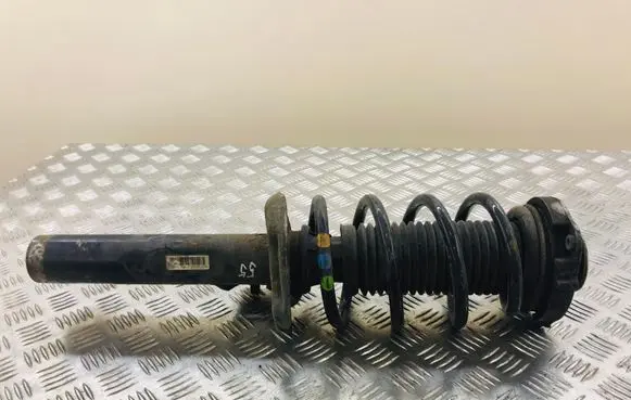 Volkswagen PASSAT B6 Front shock absorber/damper 1T0413031