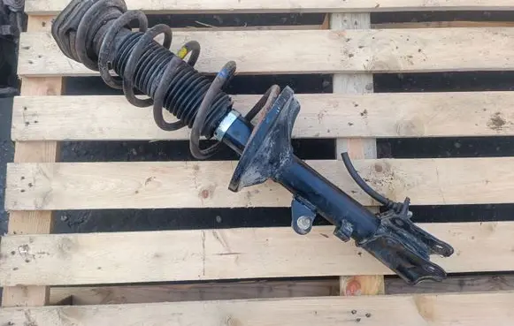 Hyundai Elantra Rear shock absorber with coil spring 