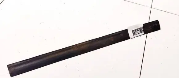 Rear door glass trim molding