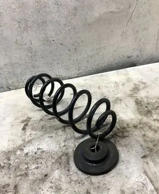 Skoda Scala Rear coil spring 2q0511121
