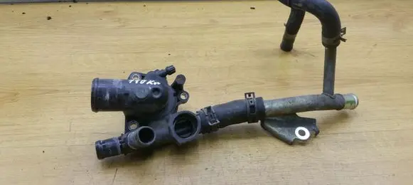 Thermostat/thermostat housing