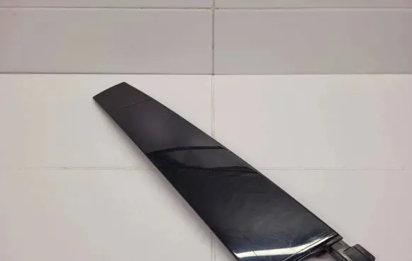 Rear door trim (molding)